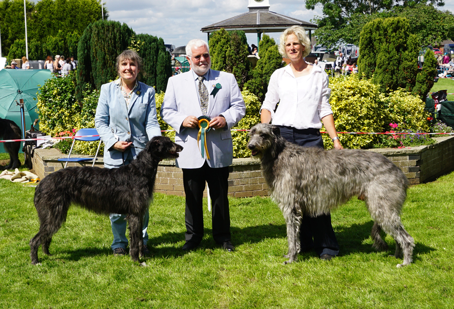 RCC Houndshow 2016